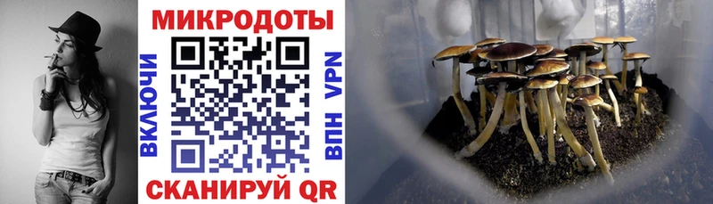 Псилоцибиновые грибы MAGIC MUSHROOMS  как найти   Александровск 