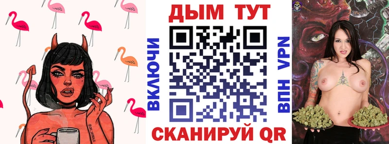 omg как войти  Александровск  Канабис гибрид  закладка 